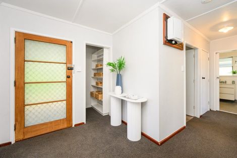 Photo of property in 20 Moheke Avenue, Roslyn, Palmerston North, 4414