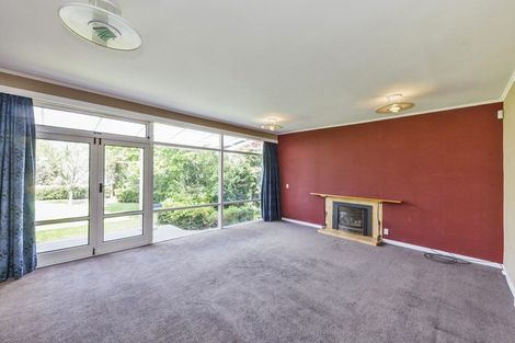 Photo of property in 19 Sheffield Street, Awapuni, Palmerston North, 4412