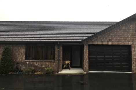 Photo of property in 28u5 Fifth Avenue, Enderley, Hamilton, 3214