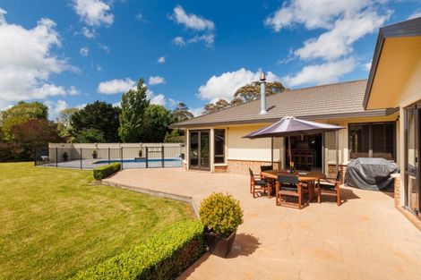 Photo of property in 7 Sherwill Street, Feilding, 4702