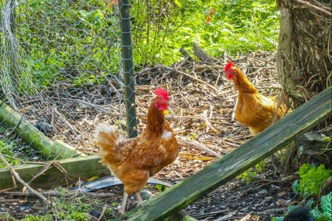 Photo of property in 15 Boler Road, Tauhoa, Warkworth, 0984