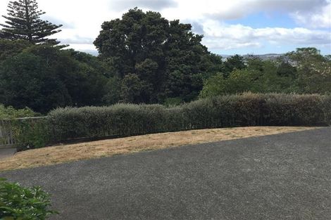 Photo of property in 99 Overtoun Terrace, Hataitai, Wellington, 6021