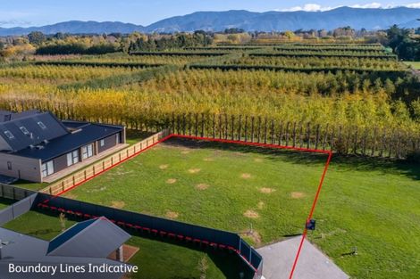 Photo of property in 29 Westwood Avenue, Greytown, 5712