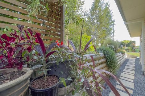 Photo of property in 24 Banks Road, Matamata, 3473