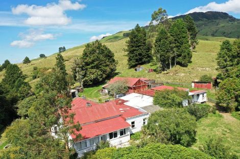 Photo of property in 3319 Whakarau Road, Motu, Te Karaka, 4092