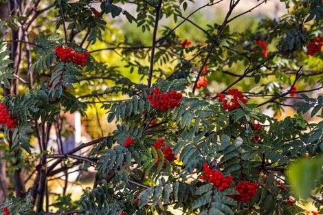 Photo of property in 2 Matai Road, Wanaka, 9305