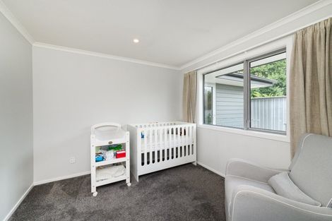 Photo of property in 96a Sherwill Street West, Feilding, 4702