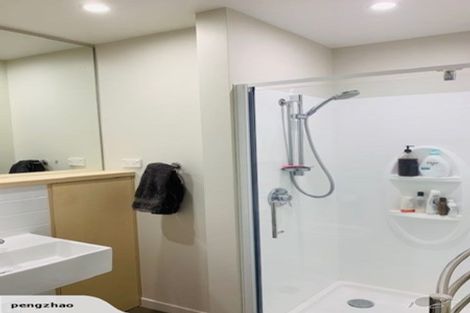 Photo of property in Nouvo Apartments, 21u6 Rugby Street, Mount Cook, Wellington, 6021