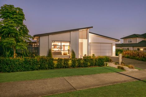 Photo of property in 17 Gelderland Way, Karaka, Papakura, 2113