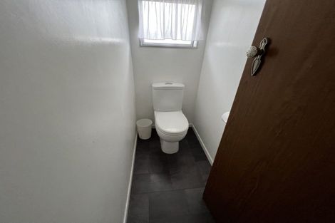 Photo of property in 319 Albert Street, Hokowhitu, Palmerston North, 4410