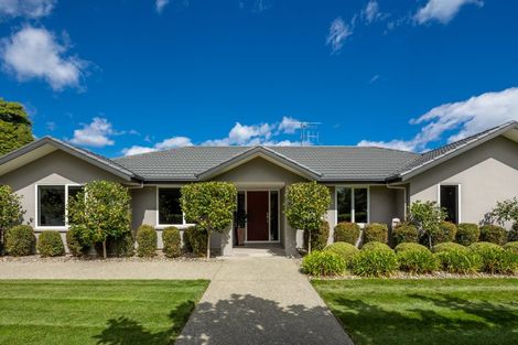 Photo of property in 4 Angelus Avenue, Richmond, 7020
