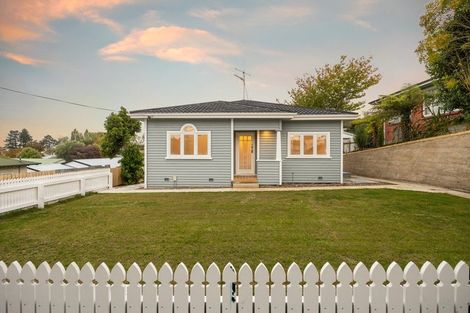 Photo of property in 17 Hinau Street, Maeroa, Hamilton, 3200
