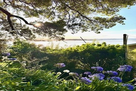 Photo of property in 238 Ohiwa Harbour Road, Waiotahe, Opotiki, 3198