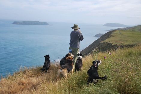 Photo of property in 292 Boom Rock Road, Ohariu, Wellington, 6037