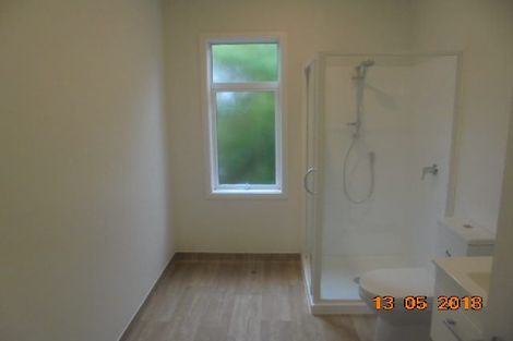 Photo of property in 158 Hanson Street, Newtown, Wellington, 6021