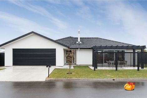 Photo of property in 20 Pegasus Place, Kelvin Grove, Palmerston North, 4414
