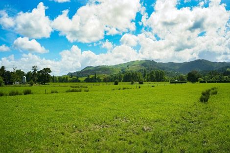 Photo of property in 29 Te Moananui Flats Road, Paeroa, 3673