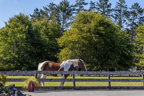 Photo of property in 883 Peak Road, Helensville, 0875