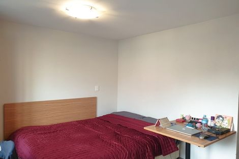 Photo of property in Dual Apartments, 108/142u Vivian Street, Te Aro, Wellington, 6011