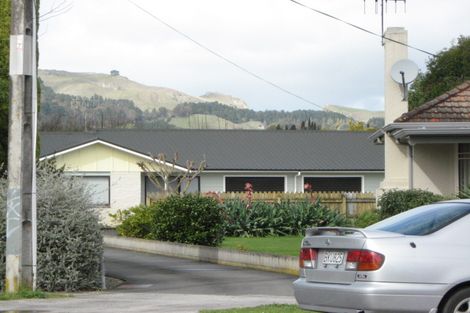 Photo of property in 19a Te Aute Road, Havelock North, 4130