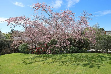 Photo of property in 331 Homestead Road, Weston, Oamaru, 9491