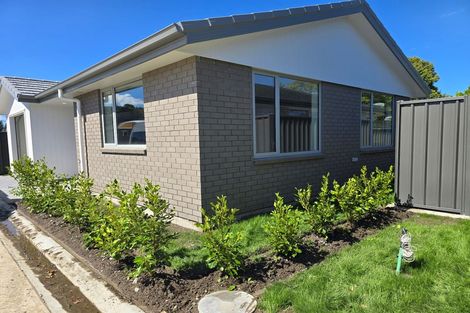 Photo of property in 113 Davis Street, Saint Leonards, Hastings, 4120