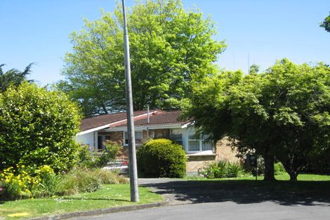 Photo of property in 205 Mcnair Road, Te Awamutu, 3800