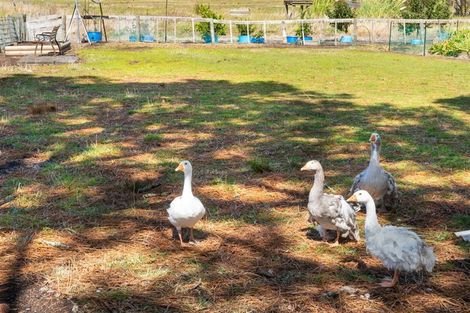 Photo of property in 2162 State Highway 16, Helensville, 0875