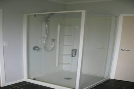 Photo of property in 270 Te Whiti Road, Homebush, Masterton, 5885