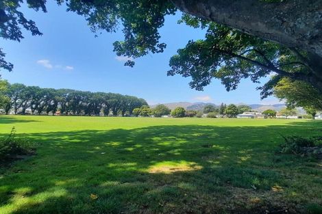 Photo of property in 31 Buffon Street, Waltham, Christchurch, 8023