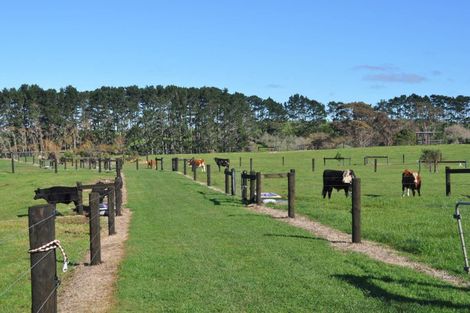 Photo of property in 96 Westhead Road, Pollok, Waiuku, 2683