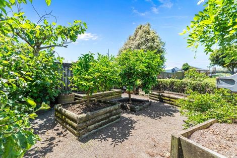 Photo of property in 6 Killarney Street, Te Puke, 3119