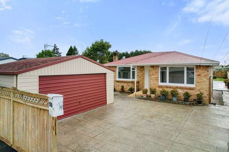 Photo of property in 59 Mansel Avenue, Hillcrest, Hamilton, 3216