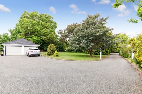 Photo of property in 8 Skerman Street, Marton, 4710