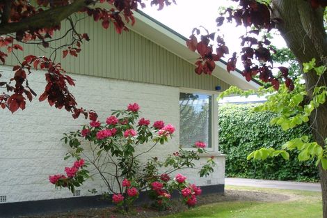 Photo of property in 1/69 Champion Street, Edgeware, Christchurch, 8013