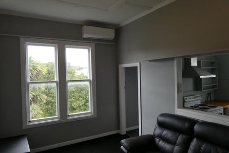 Photo of property in 117 Wallace Street, Mount Cook, Wellington, 6021