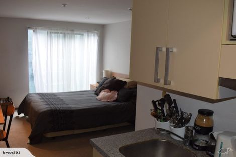 Photo of property in Dual Apartments, 108/142u Vivian Street, Te Aro, Wellington, 6011