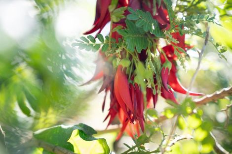 Photo of property in 15a Hoggard Street, Vogeltown, Wellington, 6021