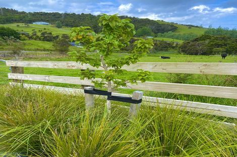 Photo of property in 68 Spioenkop Road, Mangawhai, 0573