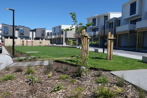 Photo of property in 19 Kamahi Place, Paraparaumu, 5032