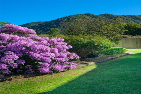 Photo of property in 53 Porika Road, Rotoroa, Murchison, 7077