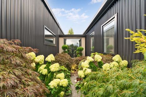Photo of property in 54 Gimson Street, Solway, Masterton, 5810