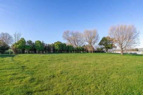 Photo of property in 51 Jellicoe Street, Greytown, 5712