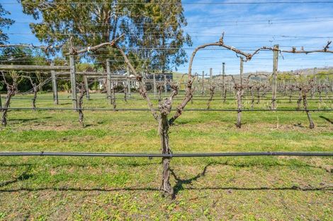 Photo of property in 1114 Omihi Road, Omihi, Amberley, 7483