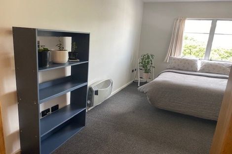 Photo of property in 22/4 Sussex Street, Mount Cook, Wellington, 6021