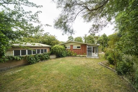 Photo of property in 546 Pioneer Highway, Highbury, Palmerston North, 4412