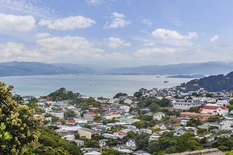 Photo of property in 149 Mitchell Street, Brooklyn, Wellington, 6021