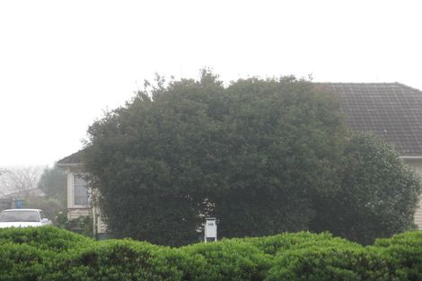 Photo of property in 133 Cobham Drive, Hamilton East, Hamilton, 3216