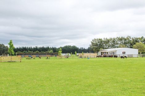 Photo of property in 39 Laws Road, Dannevirke, 4972