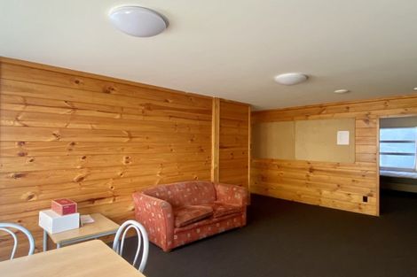 Photo of property in Drummond Street Flats, 19u1 Drummond Street, Mount Cook, Wellington, 6021